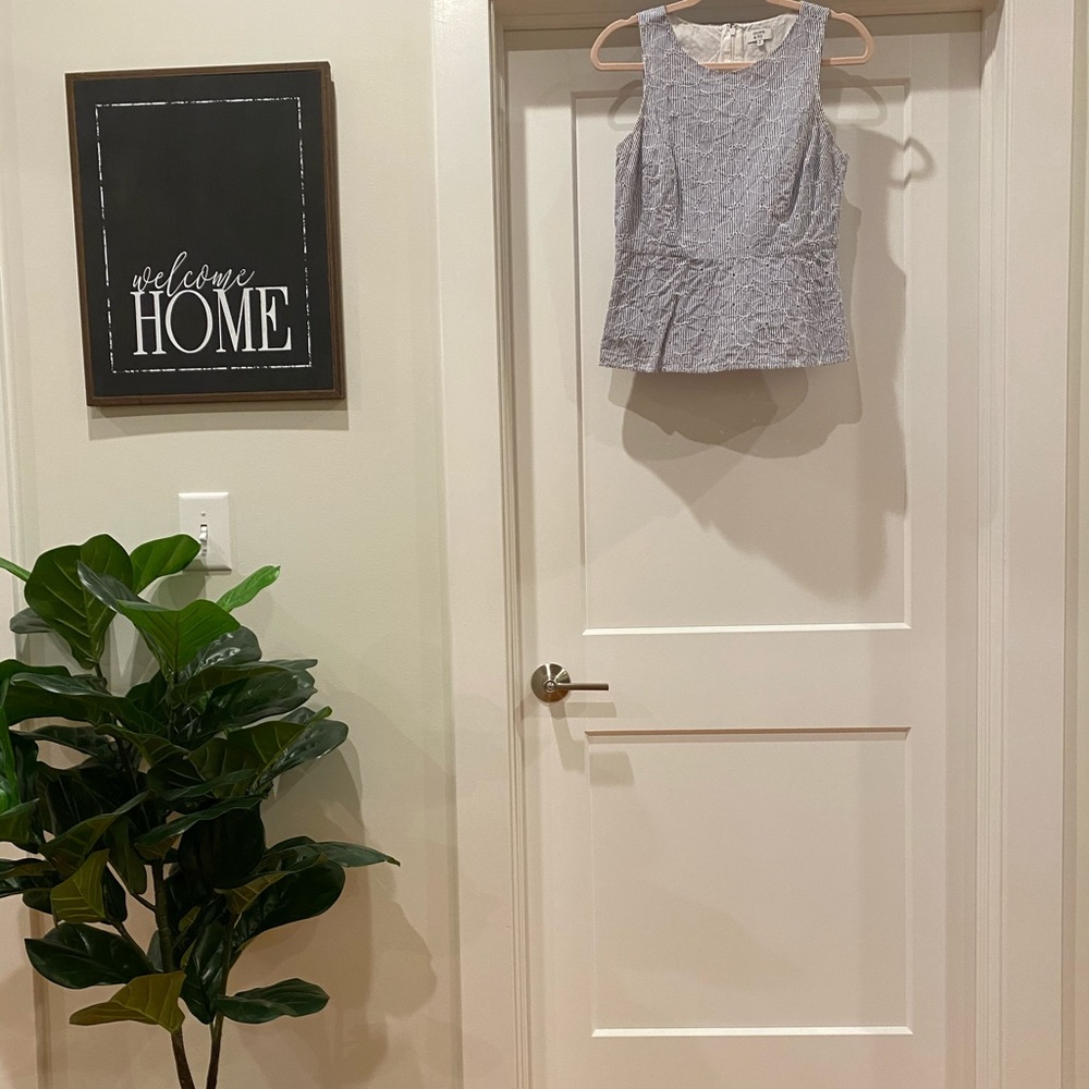 Pinstriped Lace Peplum Top